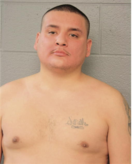 SERGIO LARA, Cook County, Illinois