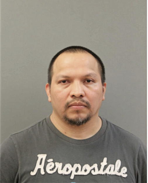 AMADO LOMAS-MARCOS, Cook County, Illinois