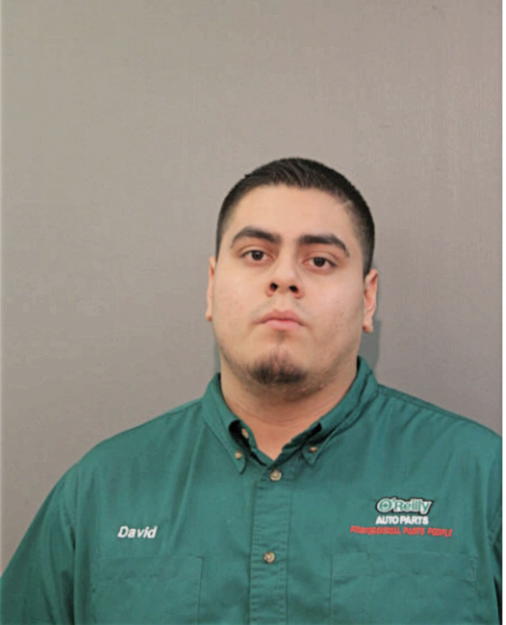 DAVID ANGEL LOPEZ, Cook County, Illinois