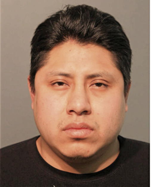 ERIC LUNA-GONZALEZ, Cook County, Illinois