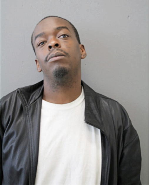 MATTHEW J MARTIN, Cook County, Illinois