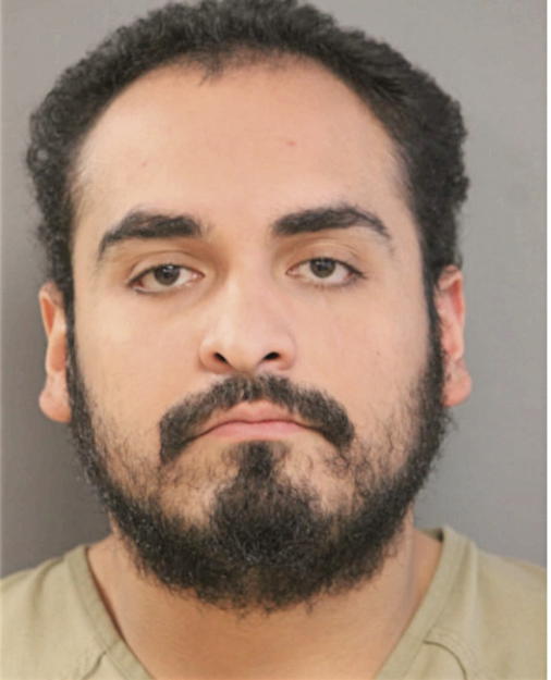 LEONARDO D MARTINEZ LOPEZ, Cook County, Illinois