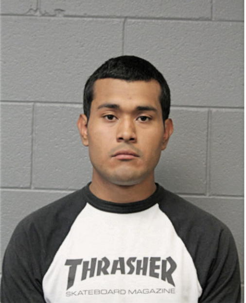BRAYAN MENDOZA, Cook County, Illinois