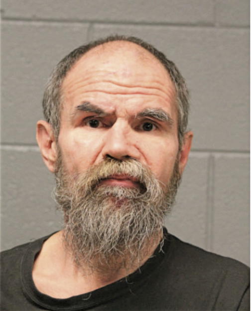 ROBERT E METZGER, Cook County, Illinois