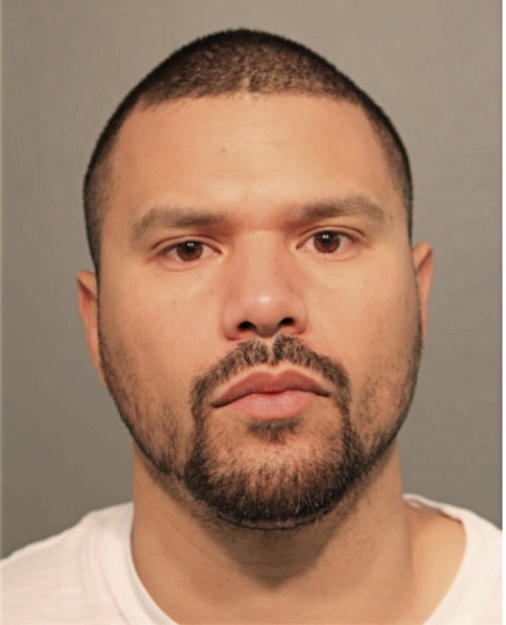 CARLOS R NERIS, Cook County, Illinois