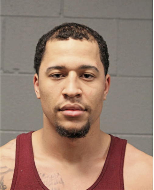 DEVON J PAINE, Cook County, Illinois