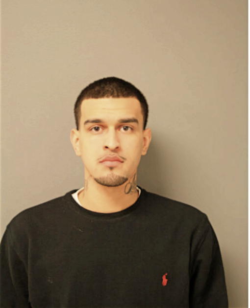 ANGEL L RAMOS, Cook County, Illinois