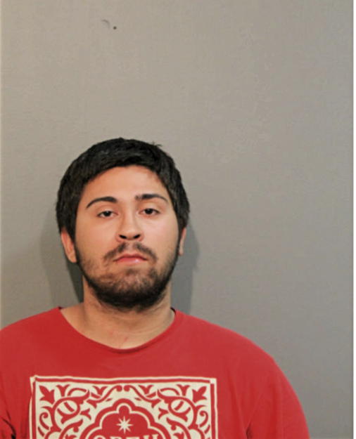 MATTHEW D RIVERA, Cook County, Illinois