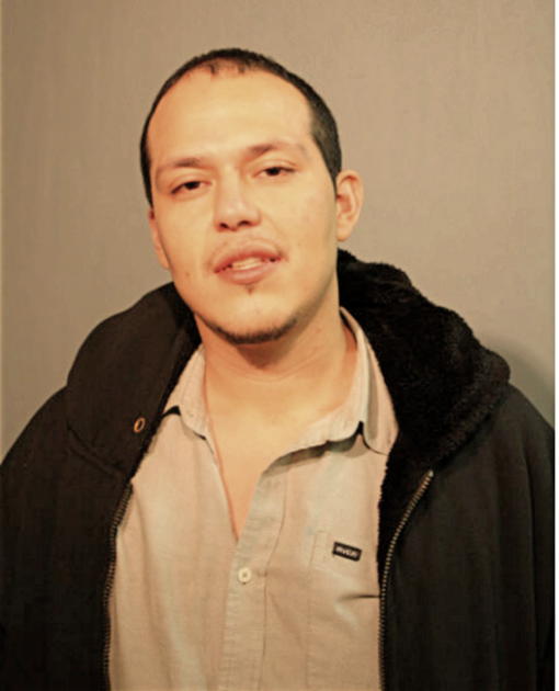 HAMDY ROSALES, Cook County, Illinois