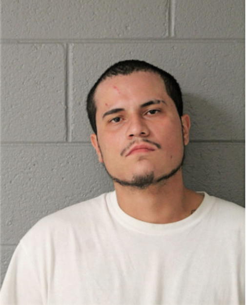 NOE SANCHEZ, Cook County, Illinois