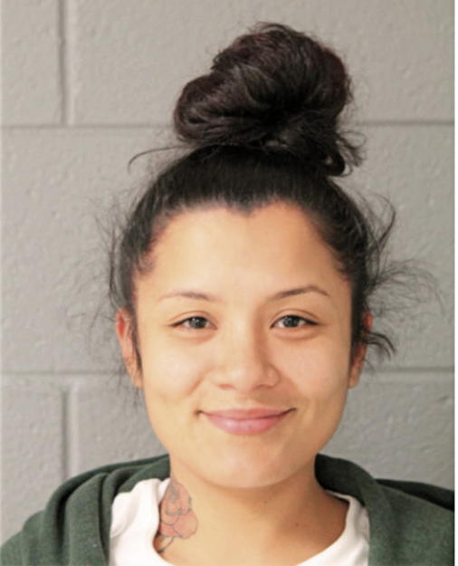 ANNETTE M SILVA, Cook County, Illinois