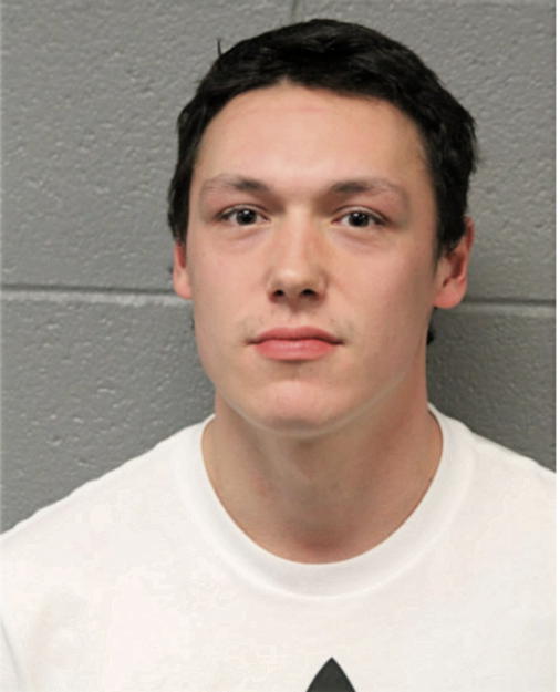 BENJAMIN STEBBINS, Cook County, Illinois