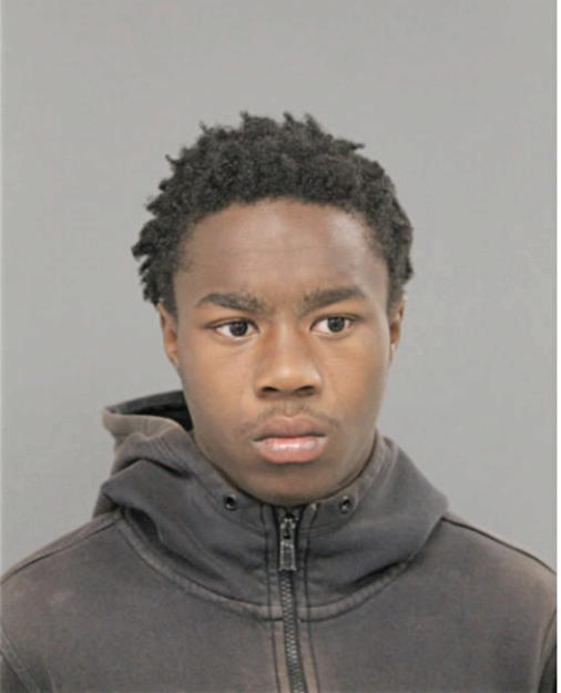 TYREK M STEVENS, Cook County, Illinois