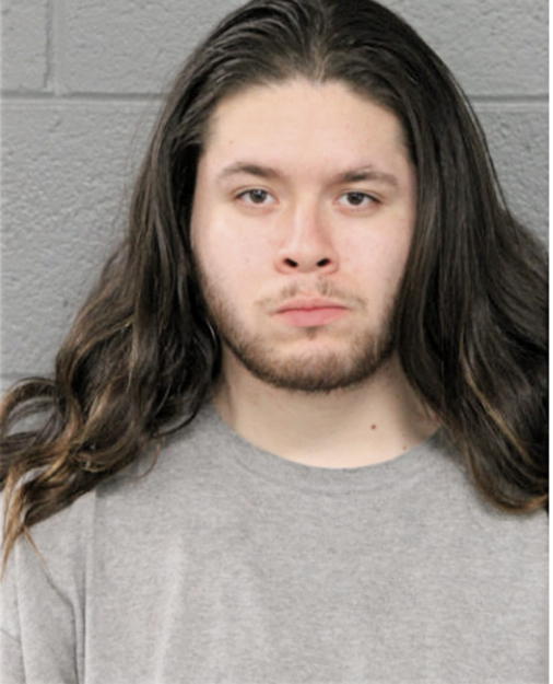OMAR VARGAS, Cook County, Illinois