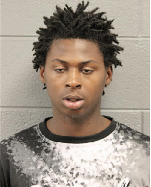 THEODORE D WILKINS, Cook County, Illinois
