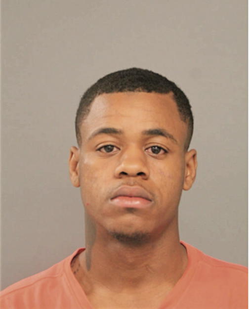 ANTHONY L WILLIAMS, Cook County, Illinois