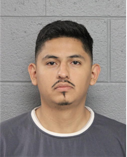 LEONARDO R ARENALES, Cook County, Illinois