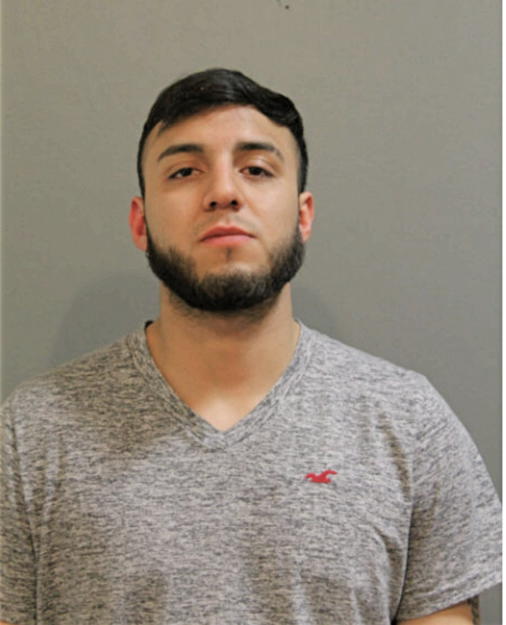 JUAN A BOTELO, Cook County, Illinois