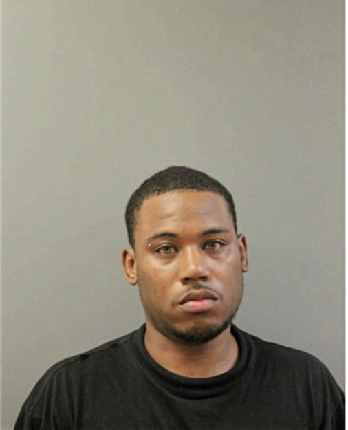 CHRISTOPHER L BROWN, Cook County, Illinois