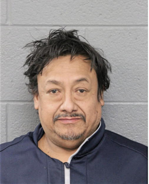 LUIS C CALDERON, Cook County, Illinois