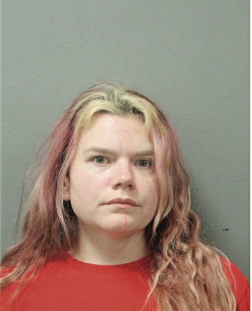 RYAN CHAPMAN, Cook County, Illinois