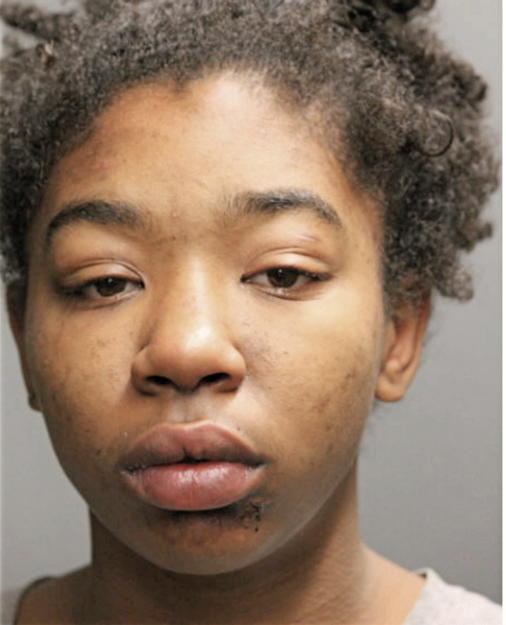 BRITANY M CUEVAS, Cook County, Illinois