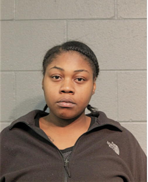 AMANDA C CUNNINGHAM, Cook County, Illinois