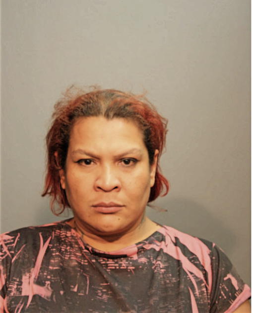 NITZA I FELICIANO, Cook County, Illinois