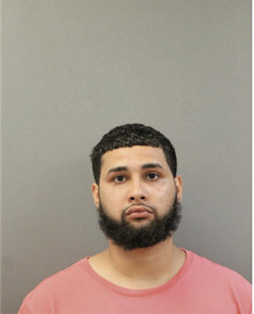 ORLANDO M FLORES, Cook County, Illinois