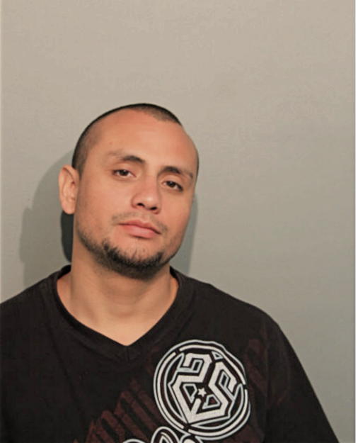 JUAN C GARCIA, Cook County, Illinois