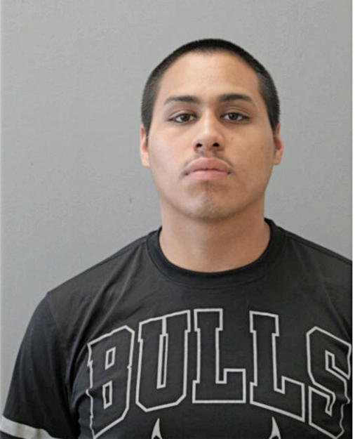 JUAN A HIJUELOS, Cook County, Illinois