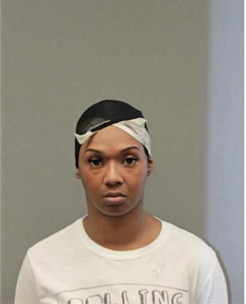 DENISE L JOHNSON, Cook County, Illinois