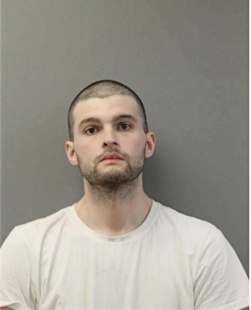THOMAS P LANGE, Cook County, Illinois