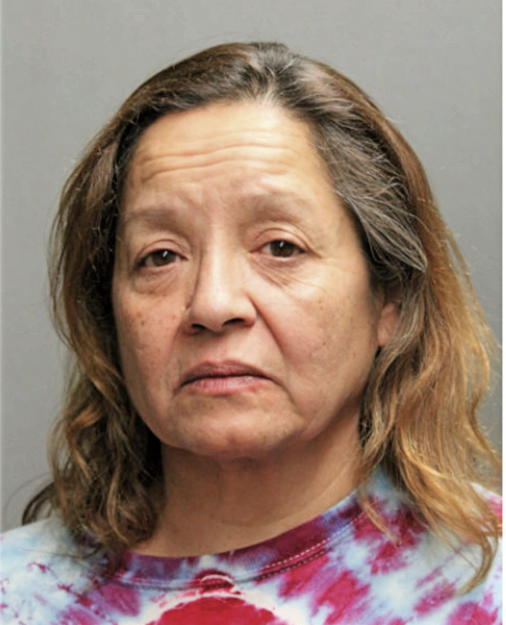 NEREIDA LEBRON, Cook County, Illinois