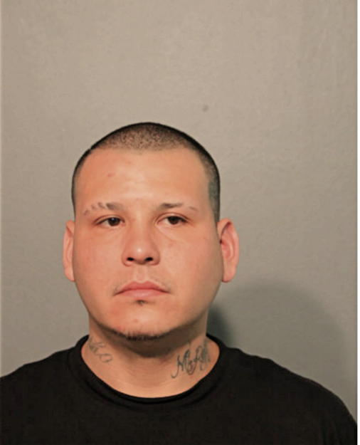 JAIME D MARTINEZ, Cook County, Illinois