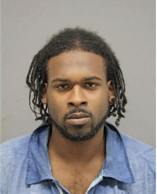 RYAN J MILLER, Cook County, Illinois