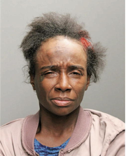 SHAYLA N BELL, Cook County, Illinois