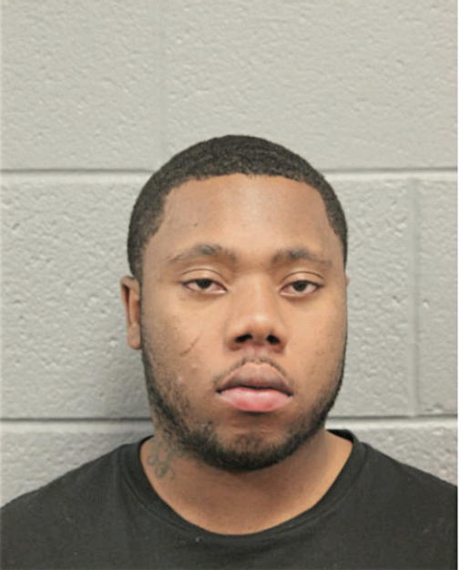 ERIC L PERRY, Cook County, Illinois
