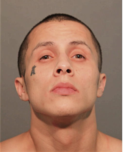 DAVID RAMOS, Cook County, Illinois
