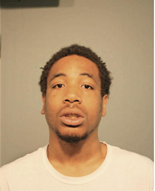 DAMIEN S RICHARDSON, Cook County, Illinois