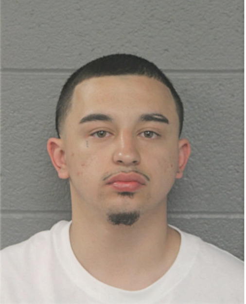 SALVADOR RODRIGUEZ-VILLA, Cook County, Illinois