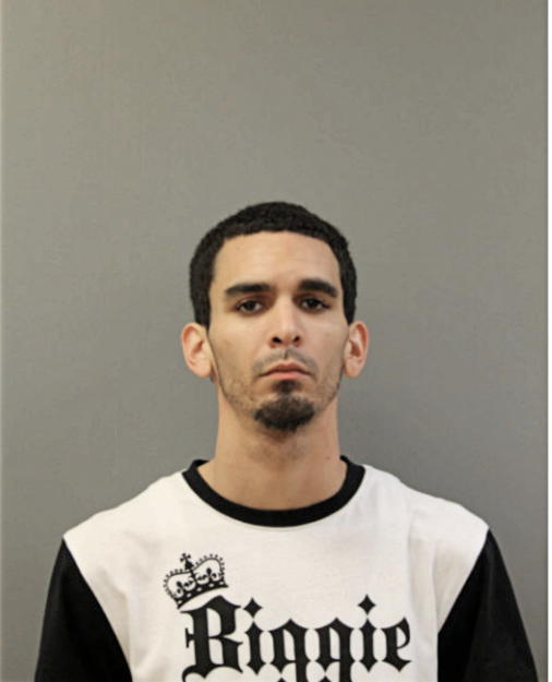 RAFAEL A ROSA, Cook County, Illinois