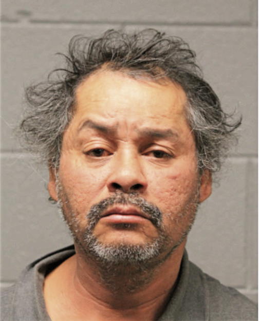 WILLIAM T THOMPSON, Cook County, Illinois