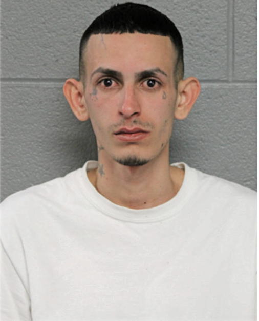 LUIS TORES, Cook County, Illinois