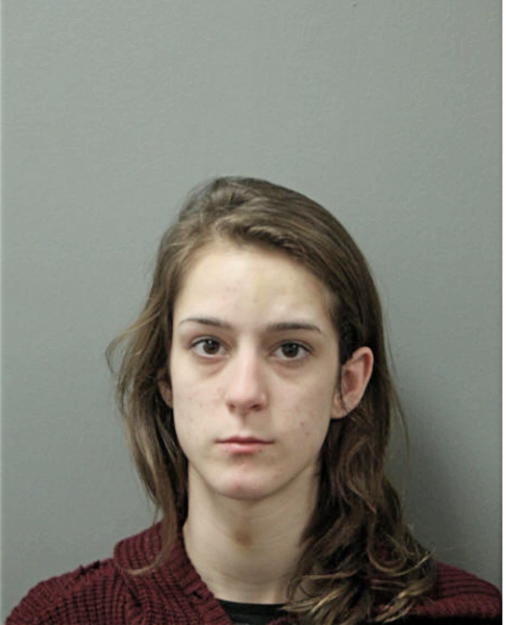 ERICA J VANDERPLOW, Cook County, Illinois