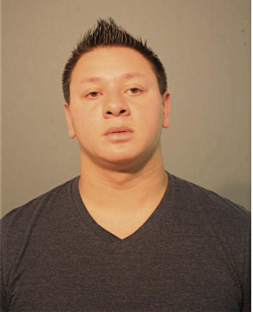 ANTHONY A VARGAS, Cook County, Illinois