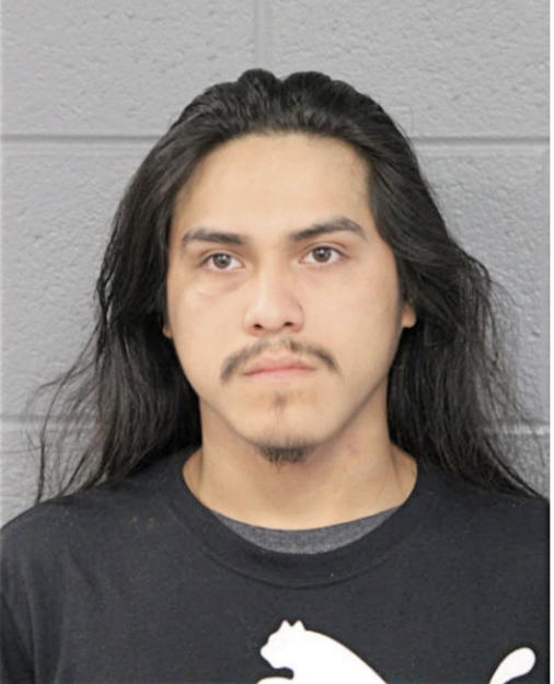 ESTEBAN ANDRADE, Cook County, Illinois