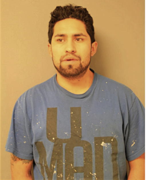 ABEL APOLINAR, Cook County, Illinois