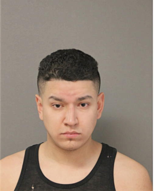 GUILLERMO ARAUZ, Cook County, Illinois