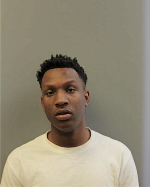 ALLANTE L BANKS, Cook County, Illinois
